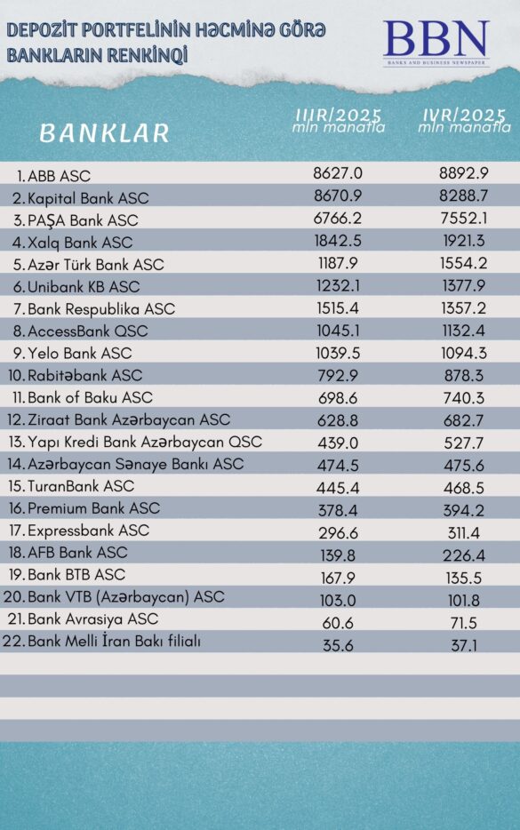 Depozit portfelinin həcminə görə (3)